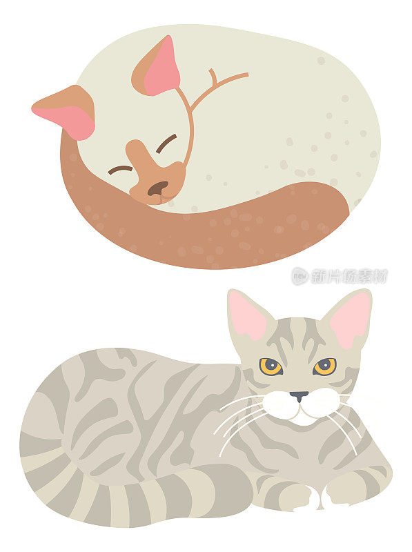 Tabby Cat, Sleeping Domestic Cat, Home Vector